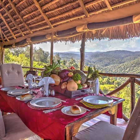 Ngorongoro Forest Tented Lodge Karatu Bagian luar foto